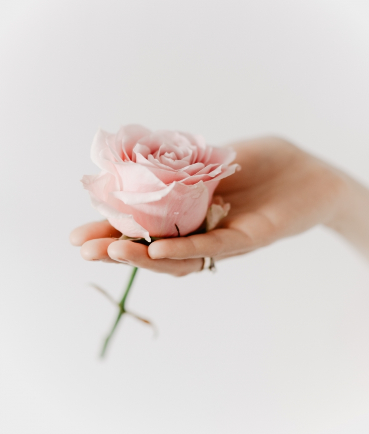 Woman holding pink rose in front of white wall.